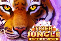 RTP quickspin HIGHBET88